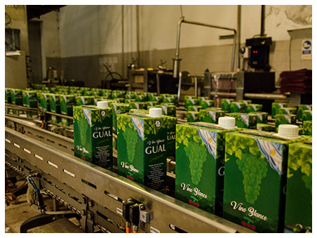 Vino blanco producción