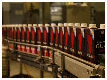 Vino tinto producción